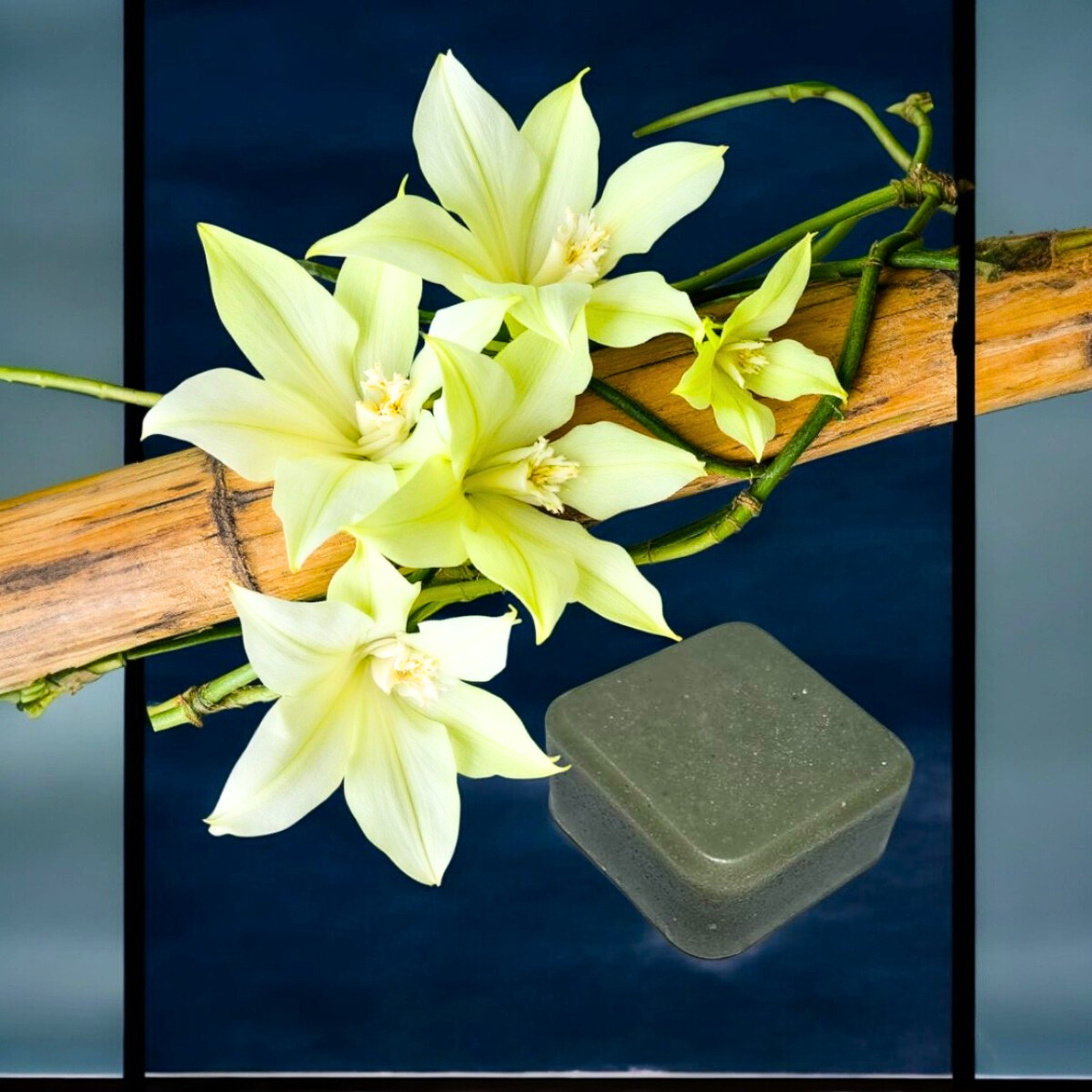 Unscented Shampoo Bar (90g) and  Conditioner Bar (60g)