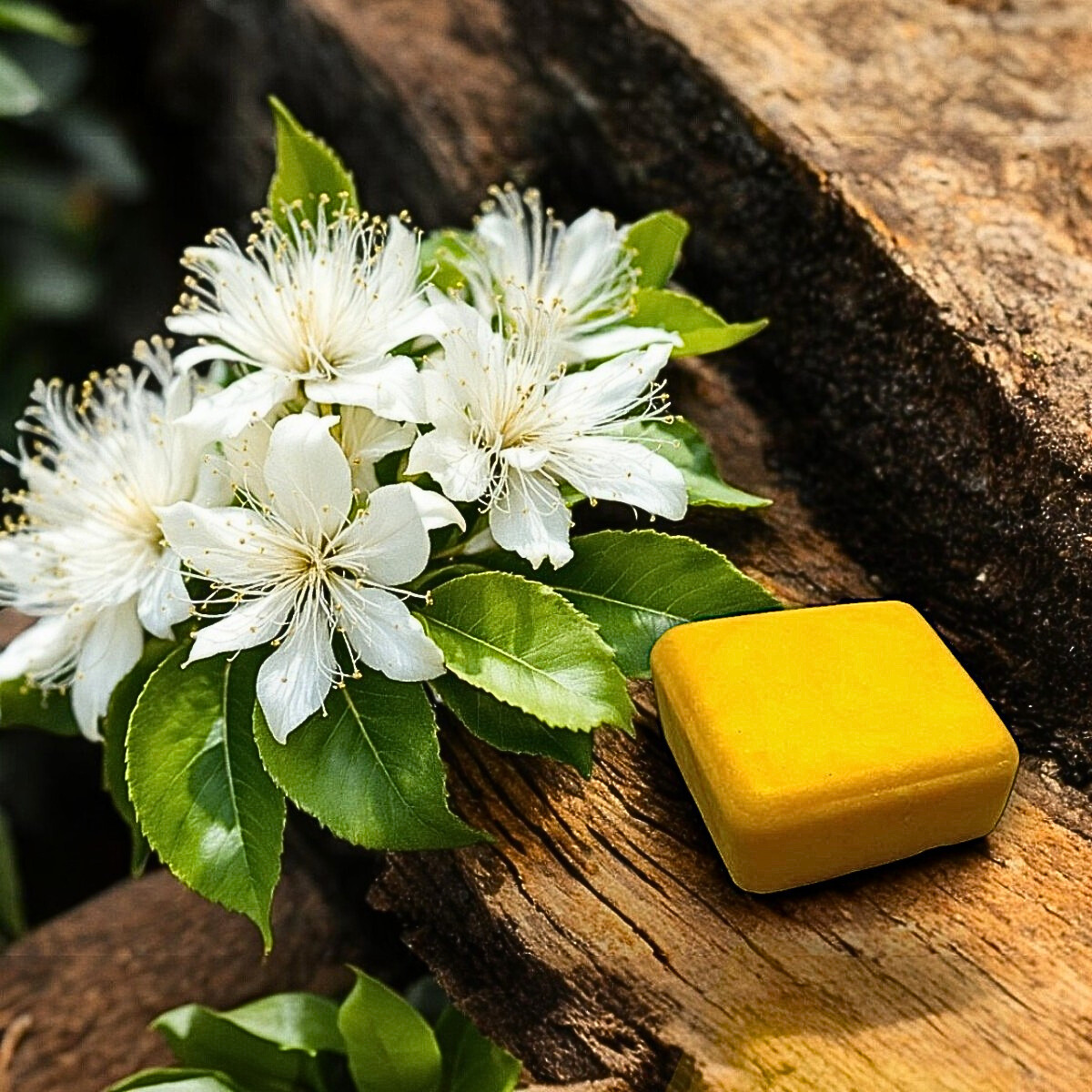 Lemon Myrtle Shampoo Bar (90g) & Conditioner Bar (60g) Bundle